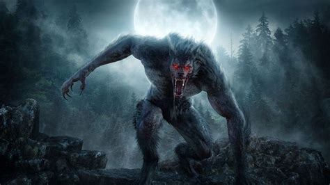 Cugse of the werewolf